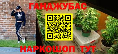 крисы Будённовск