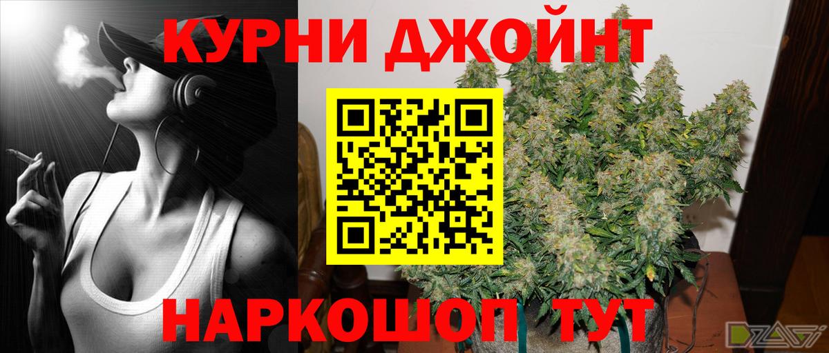 Бошки Шишки планчик Будённовск